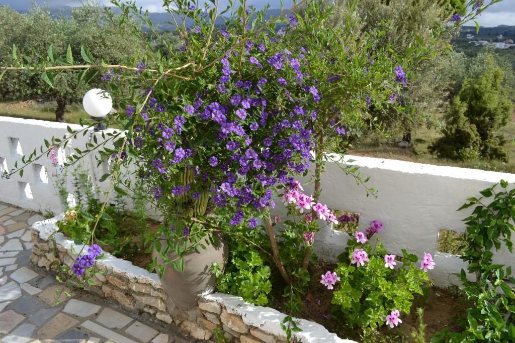 Karavos Hotel Apartments Archangelos  Luaran gambar