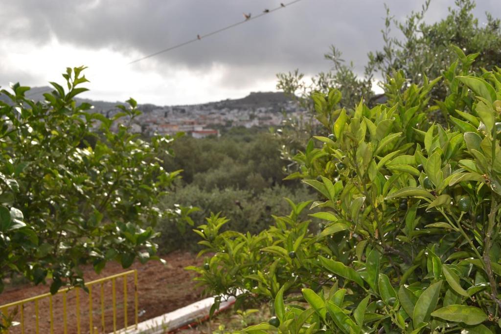Karavos Hotel Apartments Archangelos  Luaran gambar